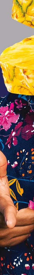 BDM Web 2880x820 Neipa 1