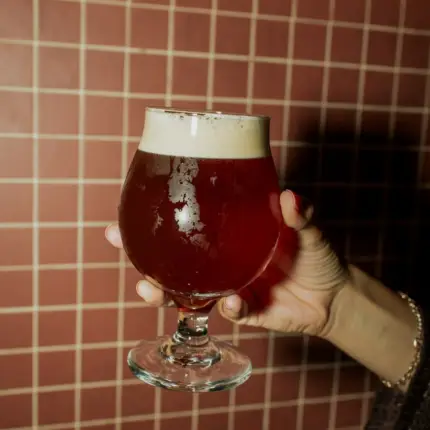 Munich Dunkel
